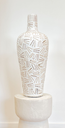 VAS_114 (14).webp