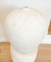 VAS_122 (9).webp