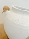 VAS_126 (3).webp