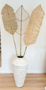 TIG_002 (6).webp
