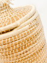 RAN_024 (8).webp
