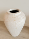VAS_103 (8).webp