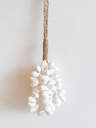 Collier coquillage blanc 