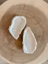 Bougie coquillage